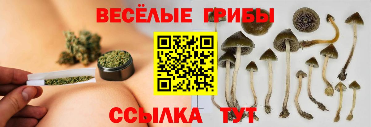 Галлюциногенные грибы Psilocybine cubensis  Галлюциногенные грибы Magic Shrooms  Бирск  Вход с VPN 